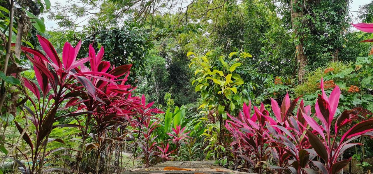 Готель Wooden Hut Koh Kood Ko Kut Екстер'єр фото